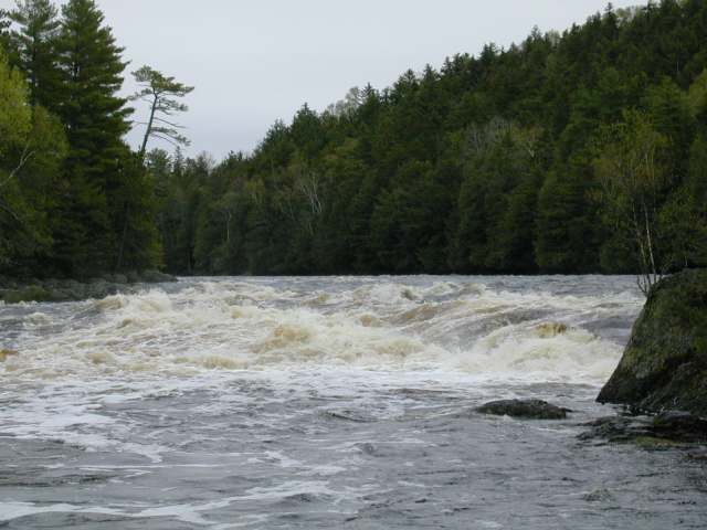 Images/Big Gordon Falls May 13 2000 6.jpg